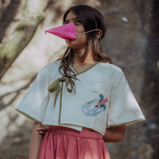 Swooping Panchhi Crop Blouse