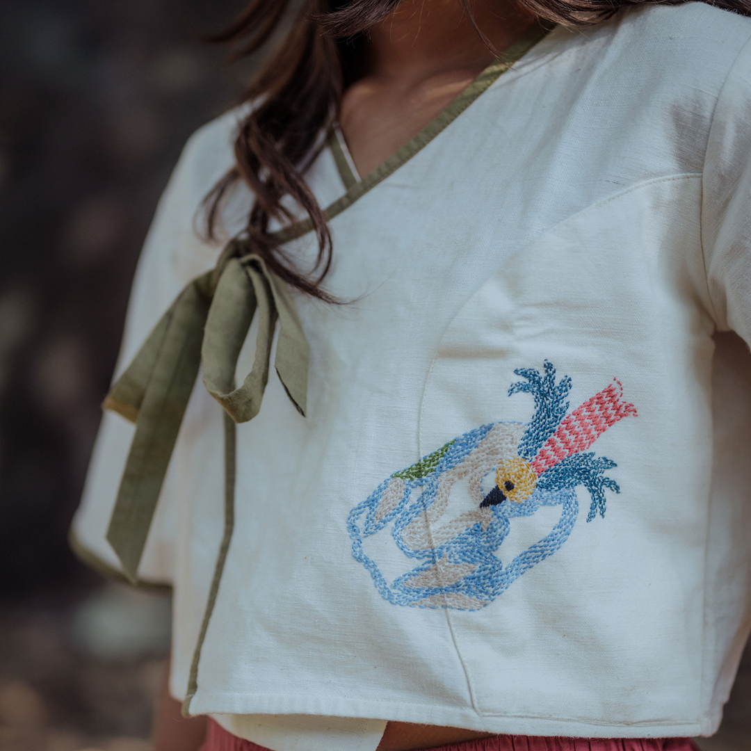 Swooping Panchhi Crop Blouse