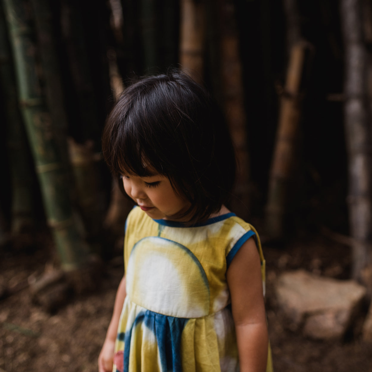 Pomegranate and Indigo Itajime Dress