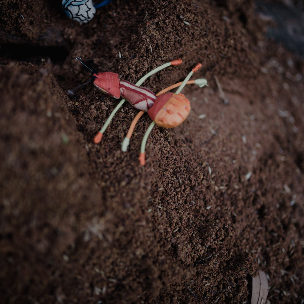Ant