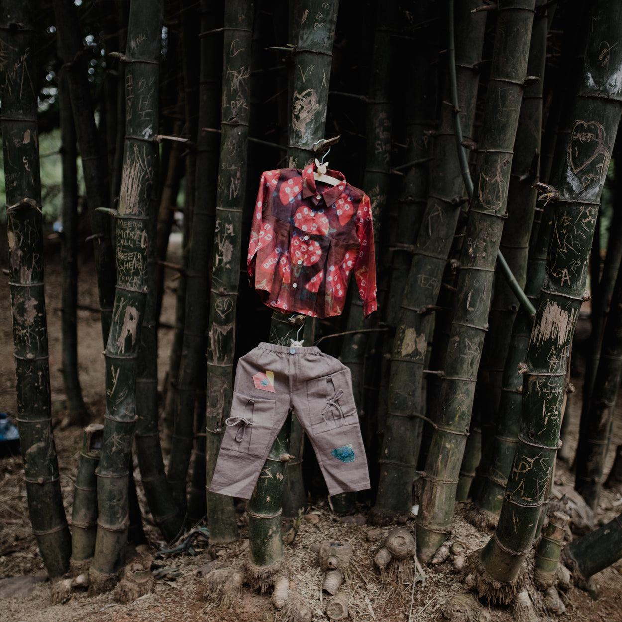 Eucalyptus Botanical Dyed Trouser