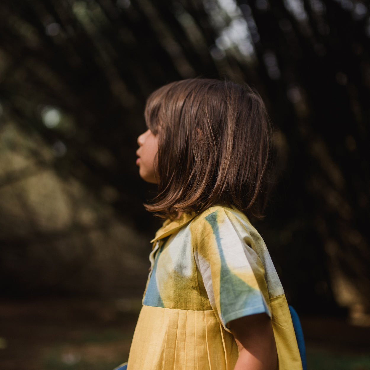 Pomegranate Itajime Pleated Dress