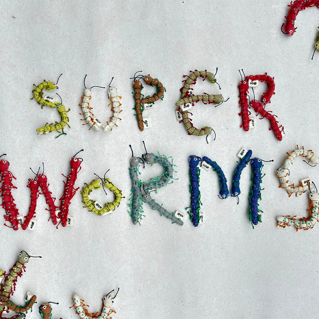 Superworms - Set of 2