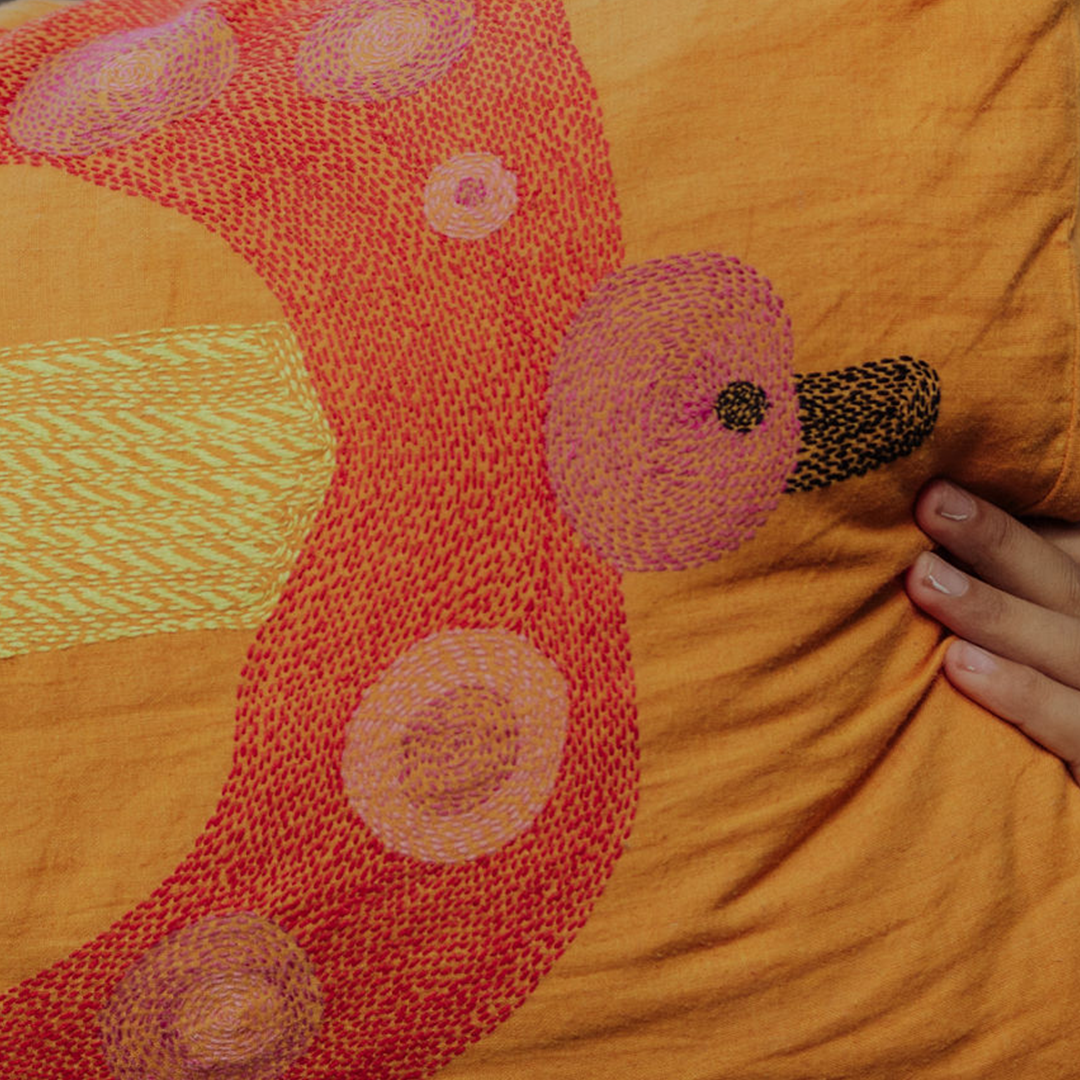 Funda de almohada Persiguiendo a Panchhi