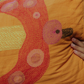 Funda de almohada Persiguiendo a Panchhi