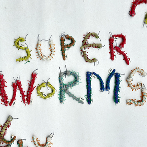 Superworms