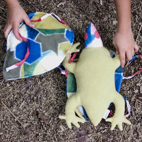 The Cane Turtle